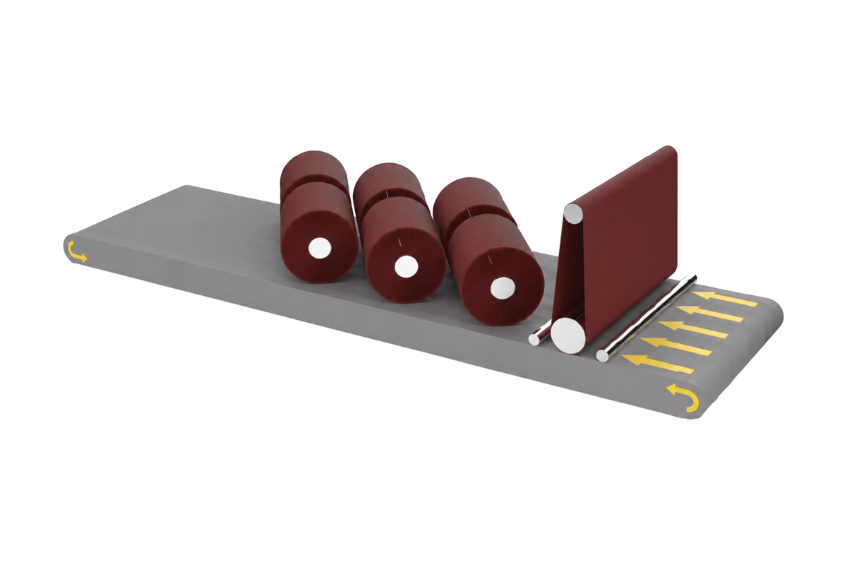 Lasvio BR configuration: abrasive belt followed by rotary brush